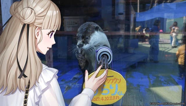 Fūuraiki 5 Celebrates First Anniversary with Mie Road Trip Adventure