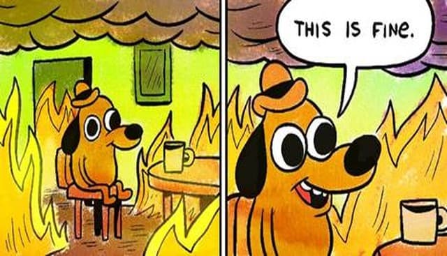 This is Fine Meme Dog Gets Its Own Metroidvania Game in 2026