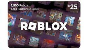 Toronto Boy Steals Family Cash, Spends $2,000 on Roblox Gift Cards